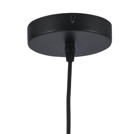 Modern European furniture - Modern Black Globe Pendant Light - www.oroa.com
