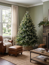 6FT Artificial Green Christmas Tree | OROA