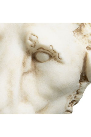 Animal Head Sculpture Object | The Met x Eichholtz Lion | Oroa.com