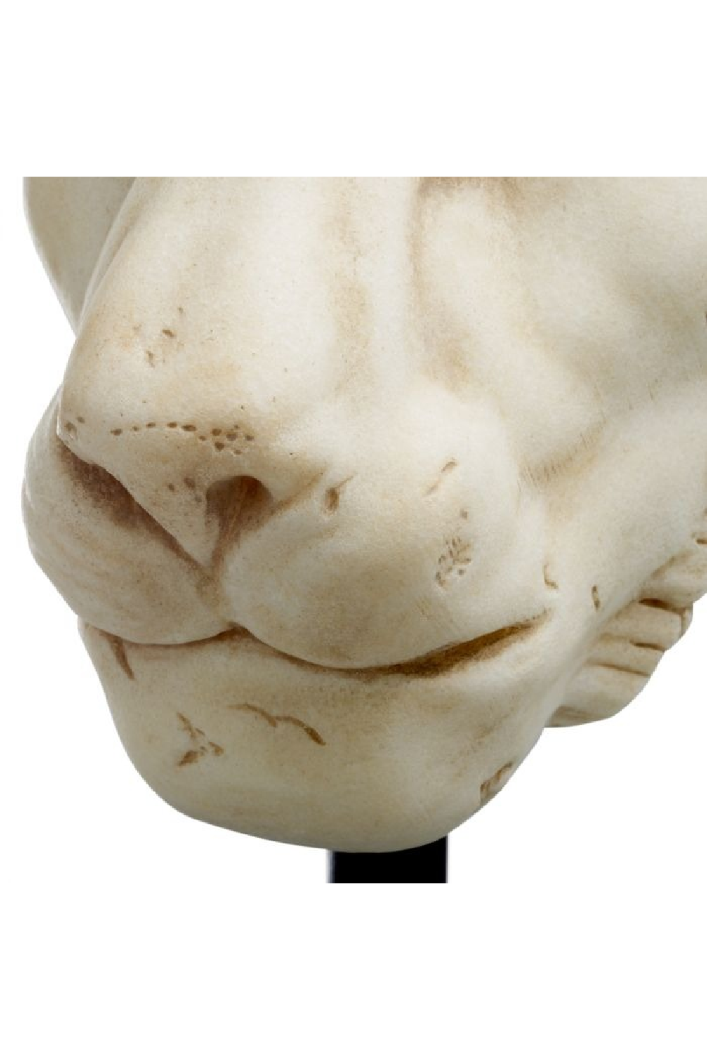 Animal Head Sculpture Object | The Met x Eichholtz Lion | Oroa.com