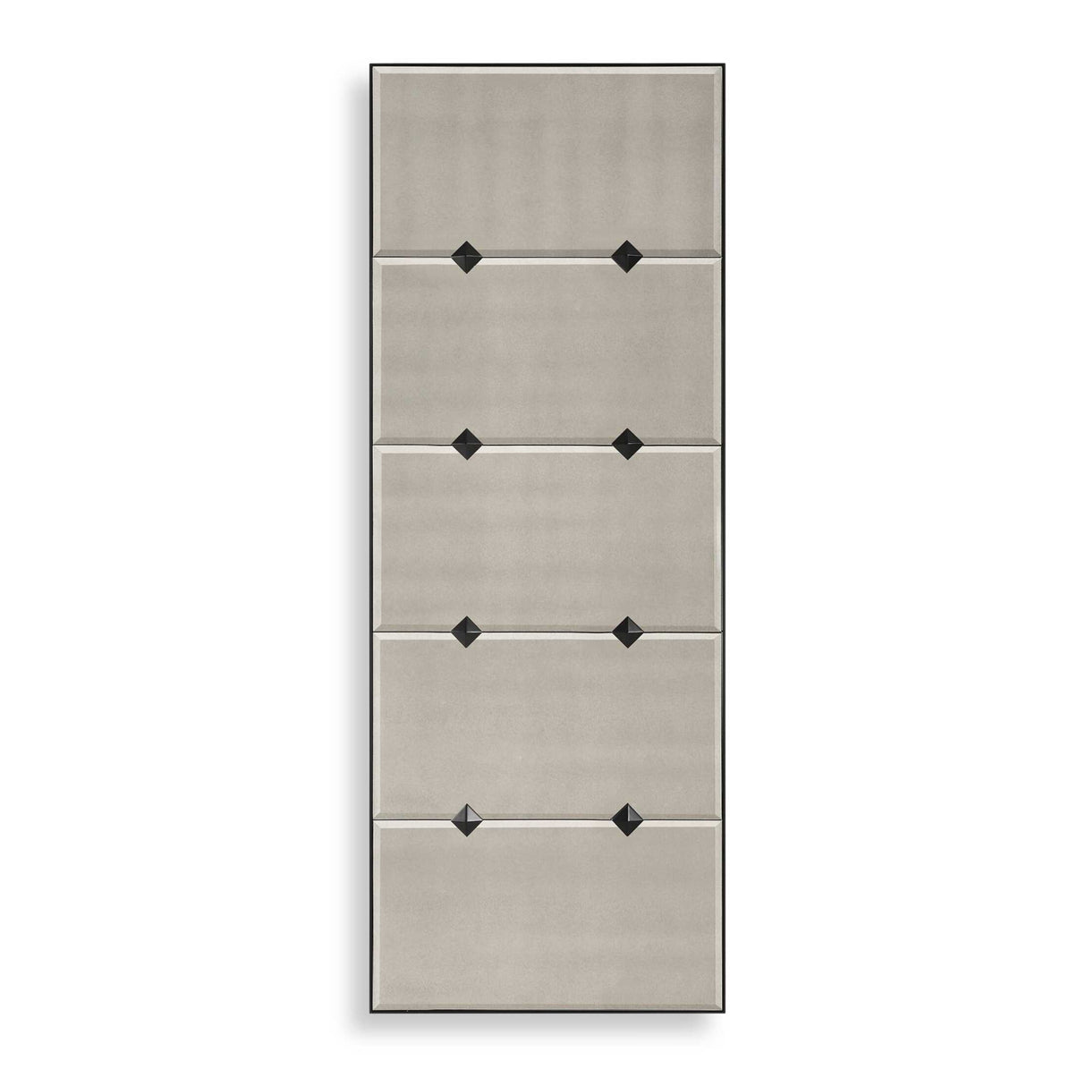 Modern European furniture - Medallion Accented Mirror - www.oroa.com