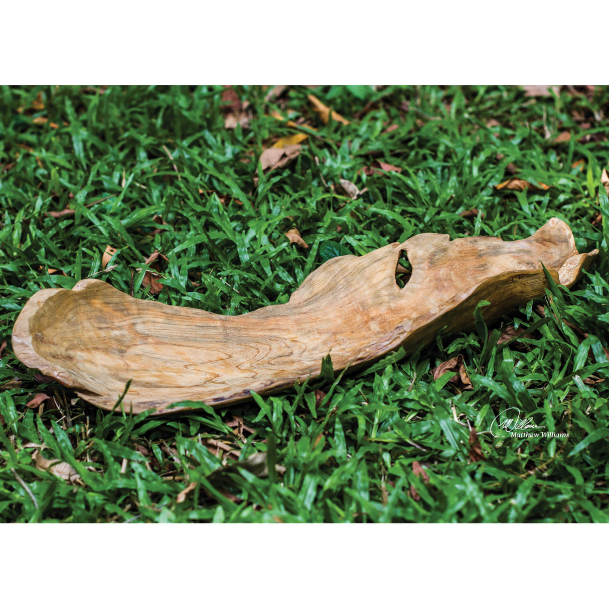 Modern European furniture - Natural Wood Indoor/Outdoor Bowl - www.oroa.com