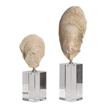 Aged Ivory Sculptures (3) | Uttermost Oyster Shell