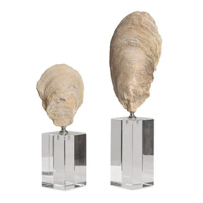 Aged Ivory Sculptures (3) | Uttermost Oyster Shell - www.oroa.com