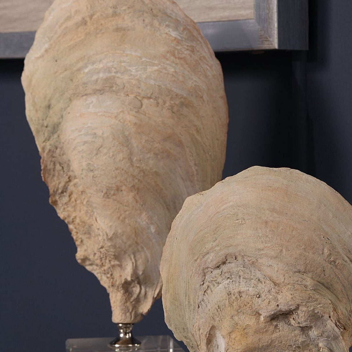 Aged Ivory Sculptures (3) | Uttermost Oyster Shell