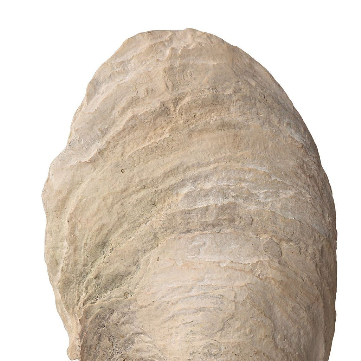 Aged Ivory Sculptures (3) | Uttermost Oyster Shell