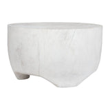 Carved Suar Wood Coffee Table | Uttermost Elevate