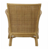 Modern European furniture - Cushioned Rattan Accent Chair - www.oroa.com