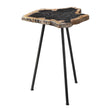 Modern European furniture - Petrified Wood Accent Table - www.oroa.com