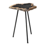 Modern European furniture - Petrified Wood Accent Table - www.oroa.com