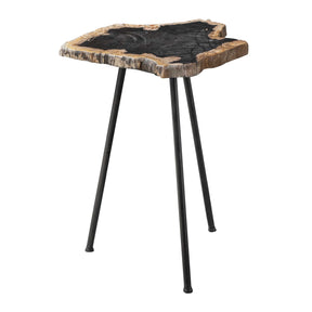 Petrified Wood Accent Table by Uttermost Mircea