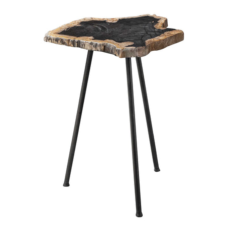 Modern European furniture - Petrified Wood Accent Table - www.oroa.com