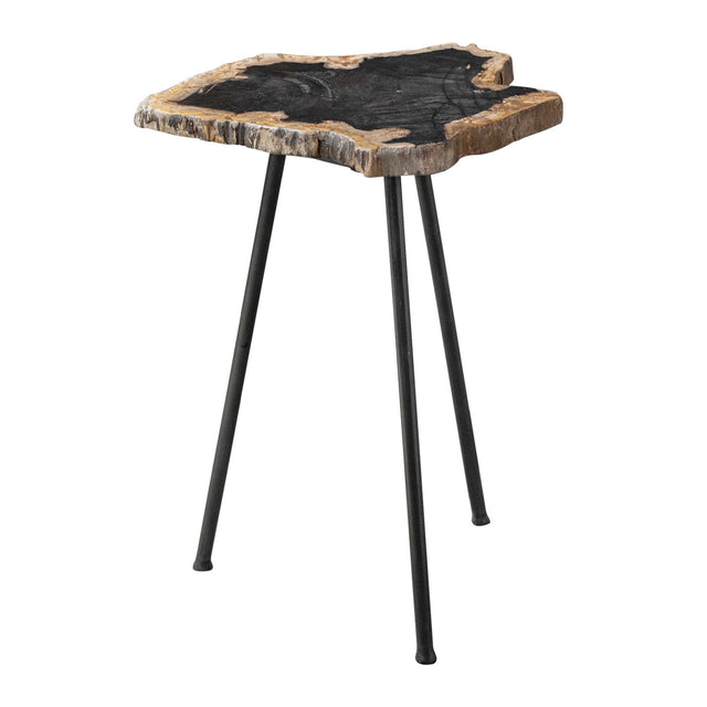 Modern European furniture - Petrified Wood Accent Table - www.oroa.com