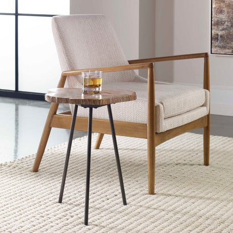 Modern European furniture - Petrified Wood Accent Table - www.oroa.com