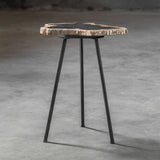 Modern European furniture - Petrified Wood Accent Table - www.oroa.com