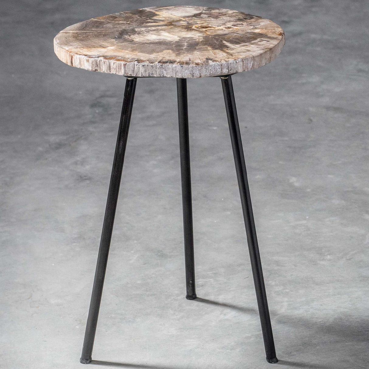 Modern European furniture - Petrified Wood Accent Table - www.oroa.com