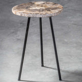 Modern European furniture - Petrified Wood Accent Table - www.oroa.com