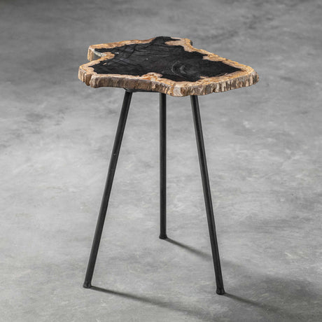 Modern European furniture - Petrified Wood Accent Table - www.oroa.com