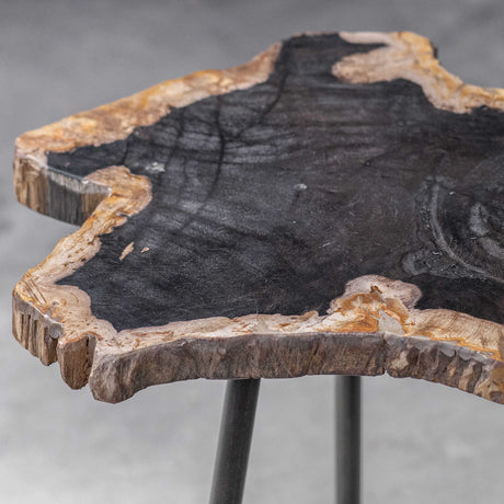 Modern European furniture - Petrified Wood Accent Table - www.oroa.com