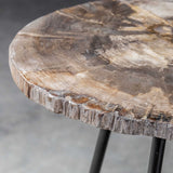 Modern European furniture - Petrified Wood Accent Table - www.oroa.com