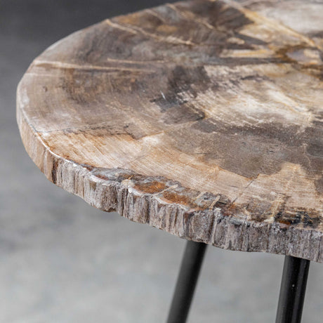 Modern European furniture - Petrified Wood Accent Table - www.oroa.com