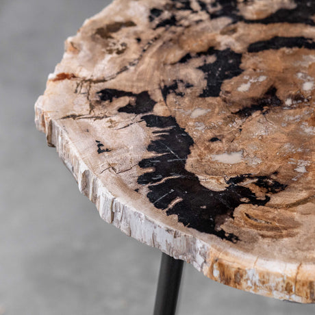 Modern European furniture - Petrified Wood Accent Table - www.oroa.com