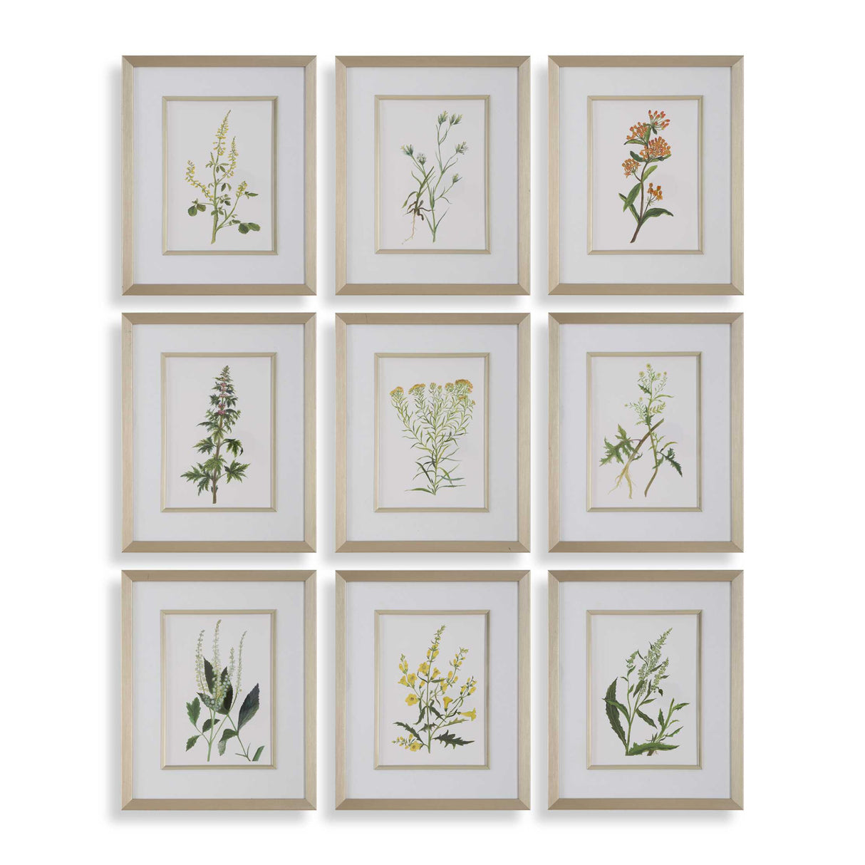 Modern European furniture - Contemporary Floral Art Prints (9) - www.oroa.com