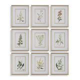 Modern European furniture - Contemporary Floral Art Prints (9) - www.oroa.com
