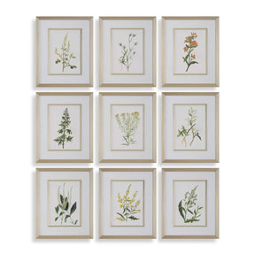 Modern European furniture - Contemporary Floral Art Prints (9) - www.oroa.com