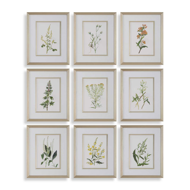 Modern European furniture - Contemporary Floral Art Prints (9) - www.oroa.com