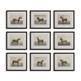Horse Sketch Art Prints (9) | Uttermost Equine Dynasty