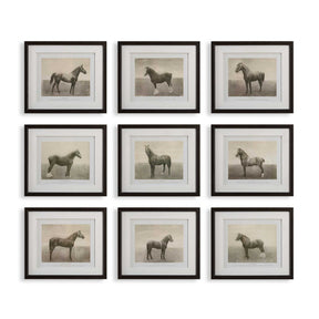 Horse Sketch Art Prints (9) – Equine Dynasty – front view