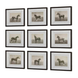 Horse Sketch Art Prints (9) | Uttermost Equine Dynasty