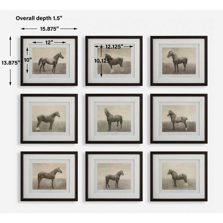 Horse Sketch Art Prints (9) | Uttermost Equine Dynasty