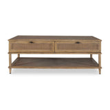 Modern European furniture - 2-Drawer Rattan Cane Coffee Table - www.oroa.com