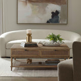 Modern European furniture - 2-Drawer Rattan Cane Coffee Table - www.oroa.com
