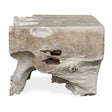 Modern European furniture - Teak Root Indoor/Outdoor Coffee Table - www.oroa.com