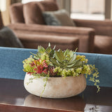 Lifelike Succulent Arrangement - OROA