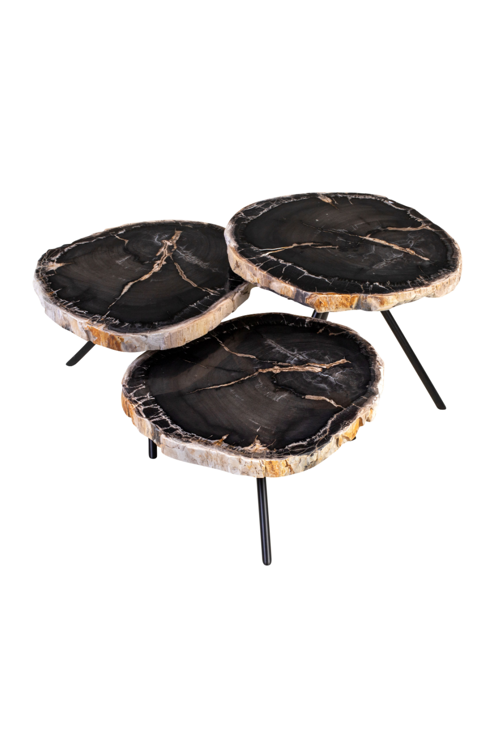 Petrified Wood Coffee Table Set (3) | Versmissen | Oroa.com