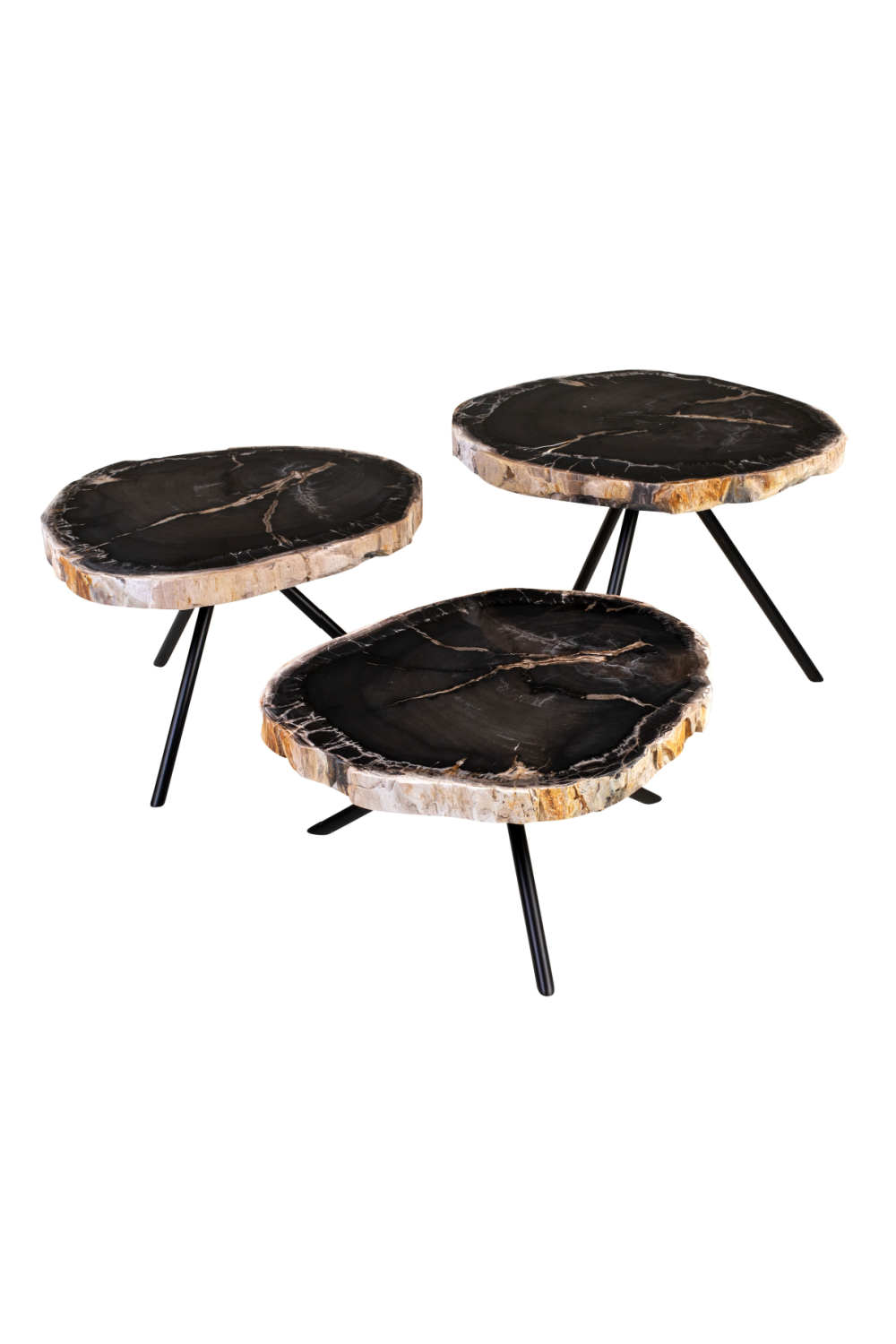 Petrified Wood Coffee Table Set (3) | Versmissen | Oroa.com