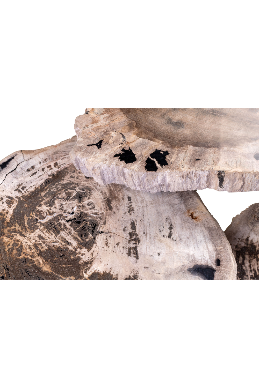Petrified Wood Coffee Table Set (3) | Versmissen | Oroa.com