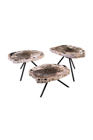 Petrified Wood Coffee Table Set (3) | Versmissen | Oroa.com