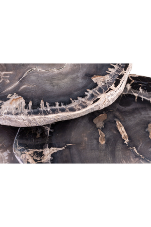 Petrified Wood Coffee Table Set (3) | Versmissen | Oroa.com