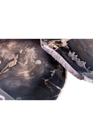 Petrified Wood Coffee Table Set (3) | Versmissen | Oroa.com