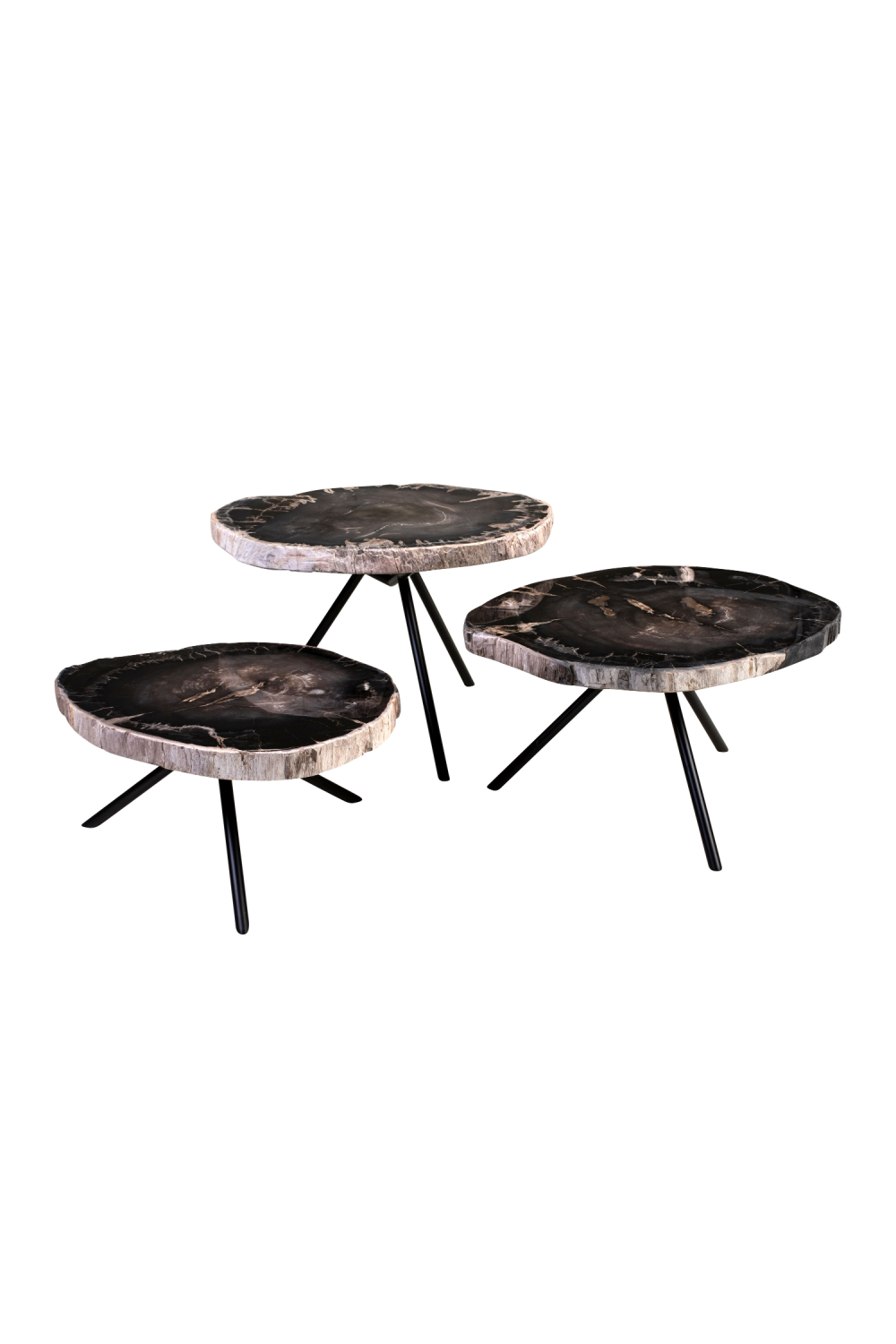 Petrified Wood Coffee Table Set (3) | Versmissen | Oroa.com