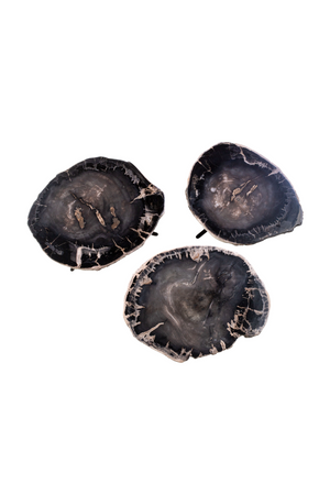Petrified Wood Coffee Table Set (3) | Versmissen | Oroa.com