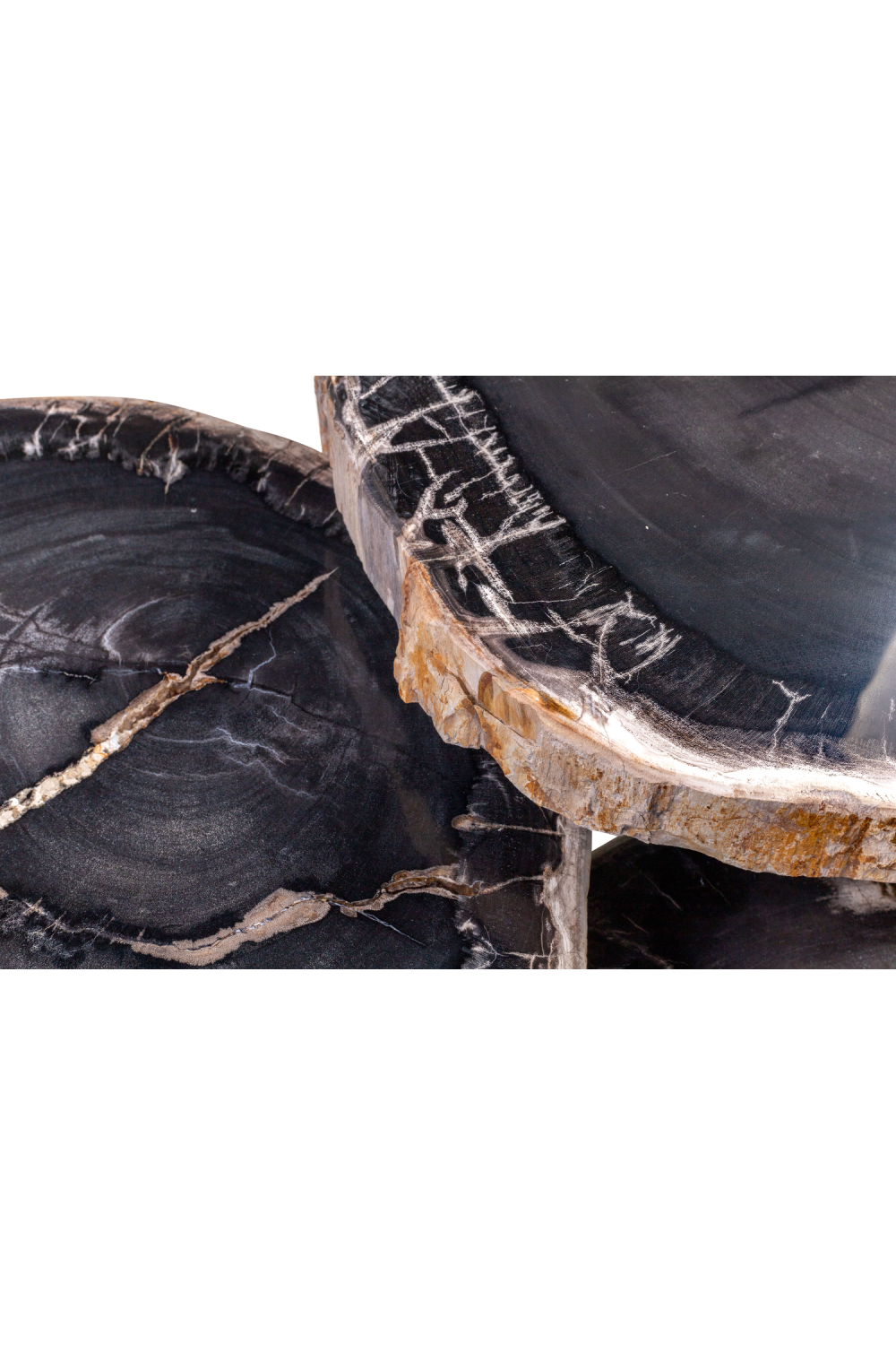 Petrified Wood Coffee Table Set (3) | Versmissen | Oroa.com