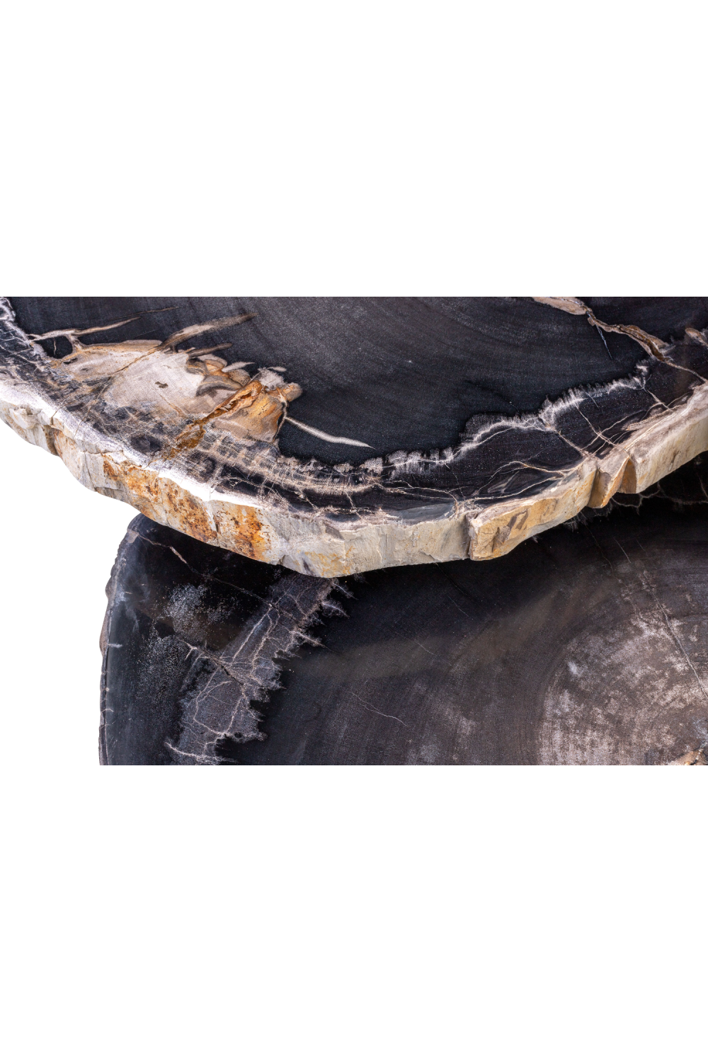 Petrified Wood Coffee Table Set (3) | Versmissen | Oroa.com