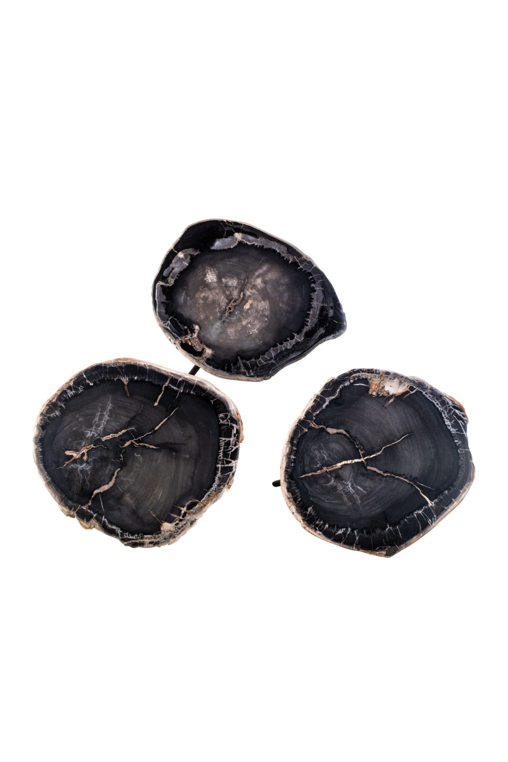 Petrified Wood Coffee Table Set (3) | Versmissen | Oroa.com