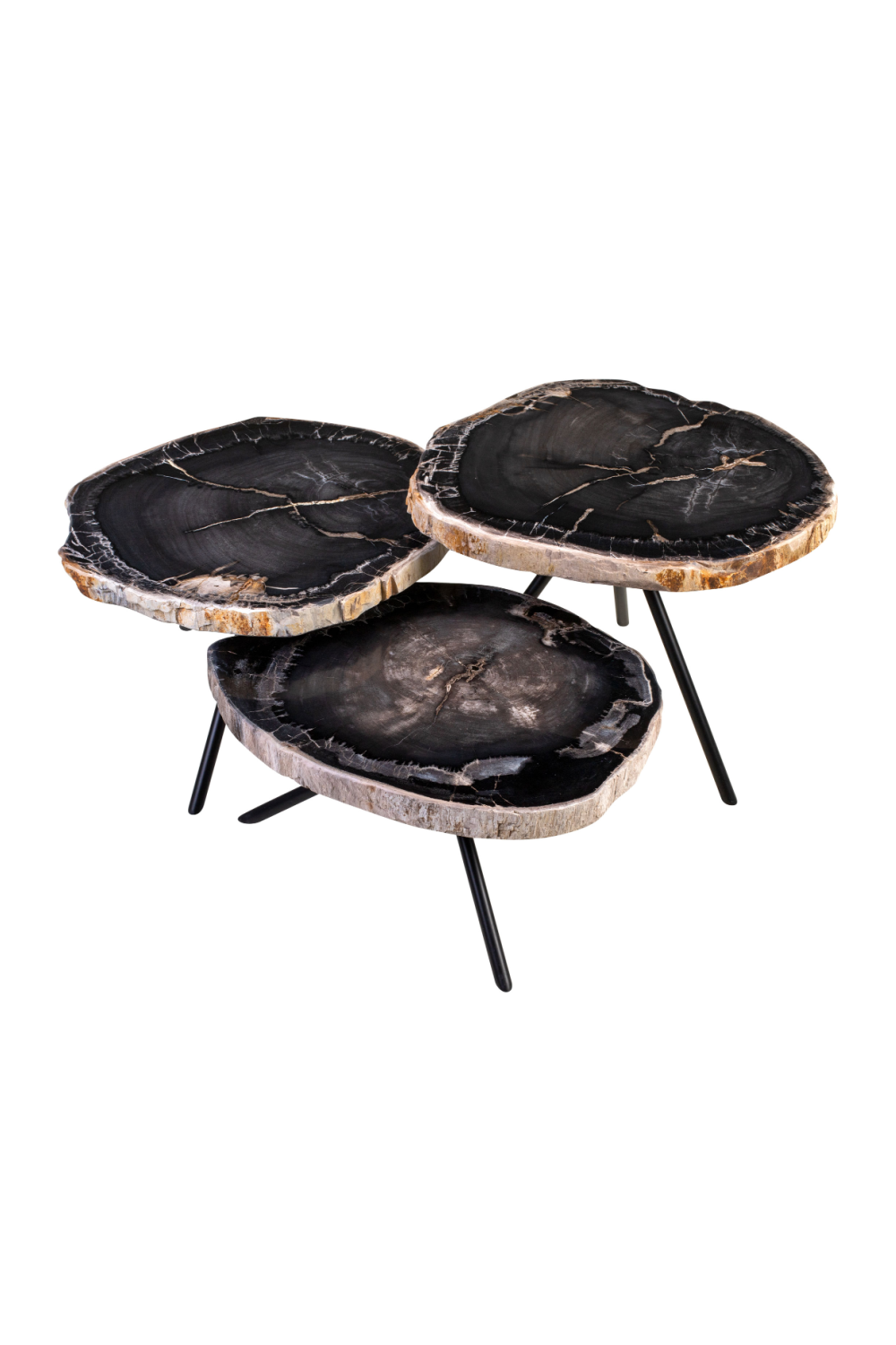 Petrified Wood Coffee Table Set (3) | Versmissen | Oroa.com